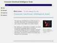 ceis-research.com