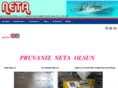 netaelektrik.com