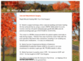 nickeloralsurgery.com