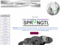 sprungtuch.com