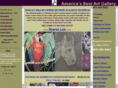 americasbestartgallery.com