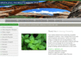 bridgingworldsmedicine.com