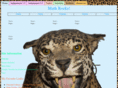 drcmath.com
