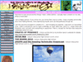 hailyscomet.com