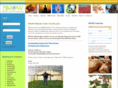 nantucketcurrent.com