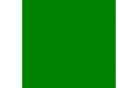 pakforest.com
