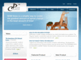 promotechiropractic.com