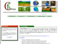cfid-afrique.org