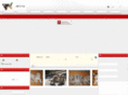htdog.com