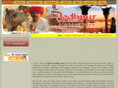 jodhpurheritagetours.com