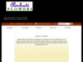 ambatiflowers.net