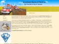 arrowheadalarmsandpatrol.com
