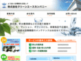 c-ace.com