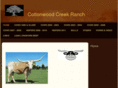 cwcreekranch.com