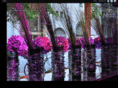 flowersoftheworld.com
