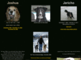 funeralforapet.com