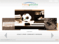 transstadia.com