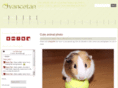 vancetan.com