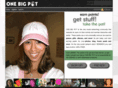 1bigpot.com