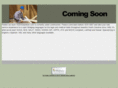 a2zinterpreters.com