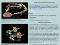 amyabramsdesigns.com