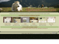 elvenbook.com