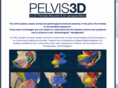 pelvis3d.com