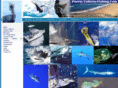 puertovallarta-fishing.com