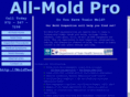 allmoldpro.com