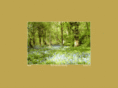 bushcraft-store.com