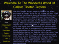 callistotibetan-terriers.com