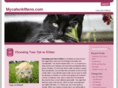mycatsnkittens.com