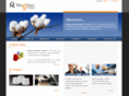 raghavgroups.com