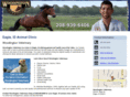 woodingtonveterinaryservice.com