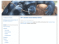 museumofusability.org