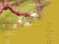pro-holistic.co.uk