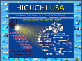 higuchiusa.com