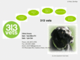 vets313.com