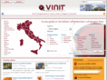 vinit.net