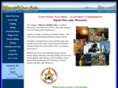sayner-starlake.org