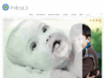 shalimarb.com