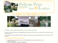 pelicanpegs.com