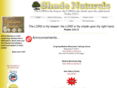 shadenaturals.com