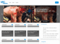 ufcpreview.com