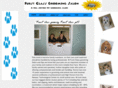 furstclassgrooming.com