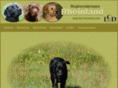 lcd-rheinland.com