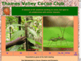thamesvalleycocoa.org