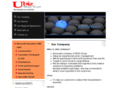 ubizsolution.com