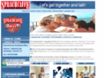 englishabroad.com