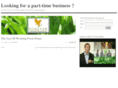 part-time-business.info
